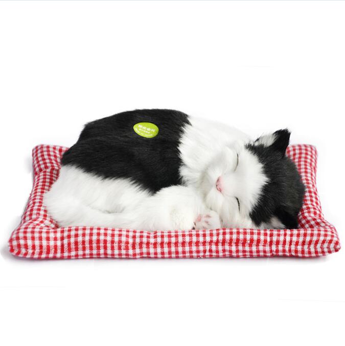 Simulation animal chat lit chien animal de compagnie d'anniversaire Simulation jouets pour enfants endormi chat chien électronique animal de compagnie: Hei kuai maoBD