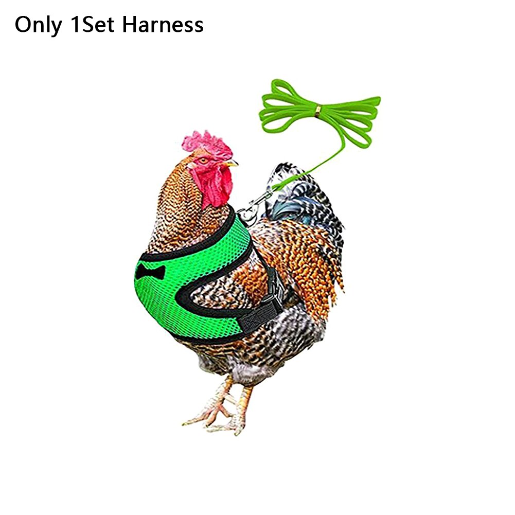 Pettorina per pollo da allenamento per ciotole forniture per pollame cinturino regolabile elastico con guinzaglio a passeggio all'aperto la moda maglia galline gilet per animali domestici