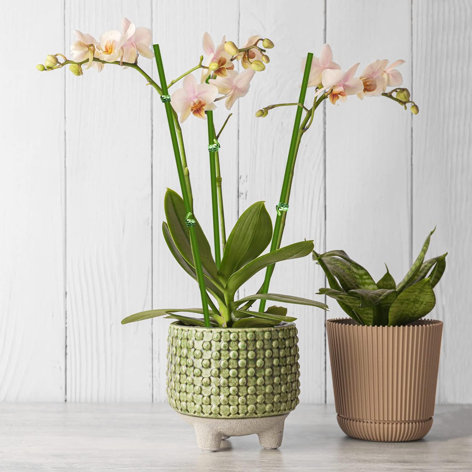 Palos de soporte para plantas, Clips reutilizables para soporte de flores, varilla de orquídeas, palos para plantas trepadoras, herramienta de jardín, 20/40/60 Uds.