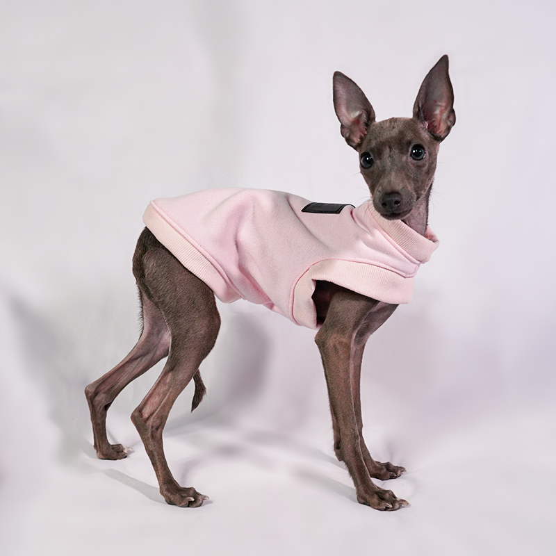 Ropa para perros pequeños, suéter de otoño e invierno cálido para lana de algodón, ropa italiana de Galgo, accesorios para perros, suministros para perros: S