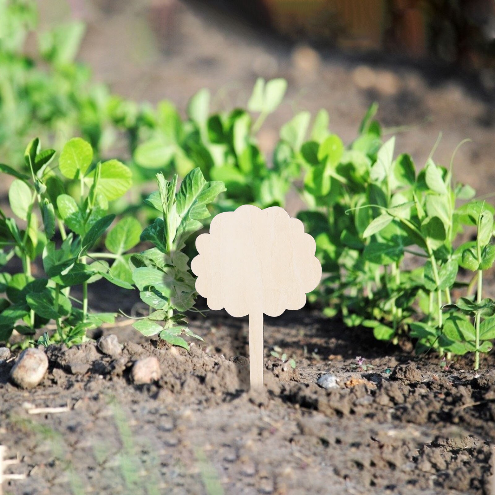 10 Stuks Herbruikbare Planten Hang Tag Labels Boom... – Grandado