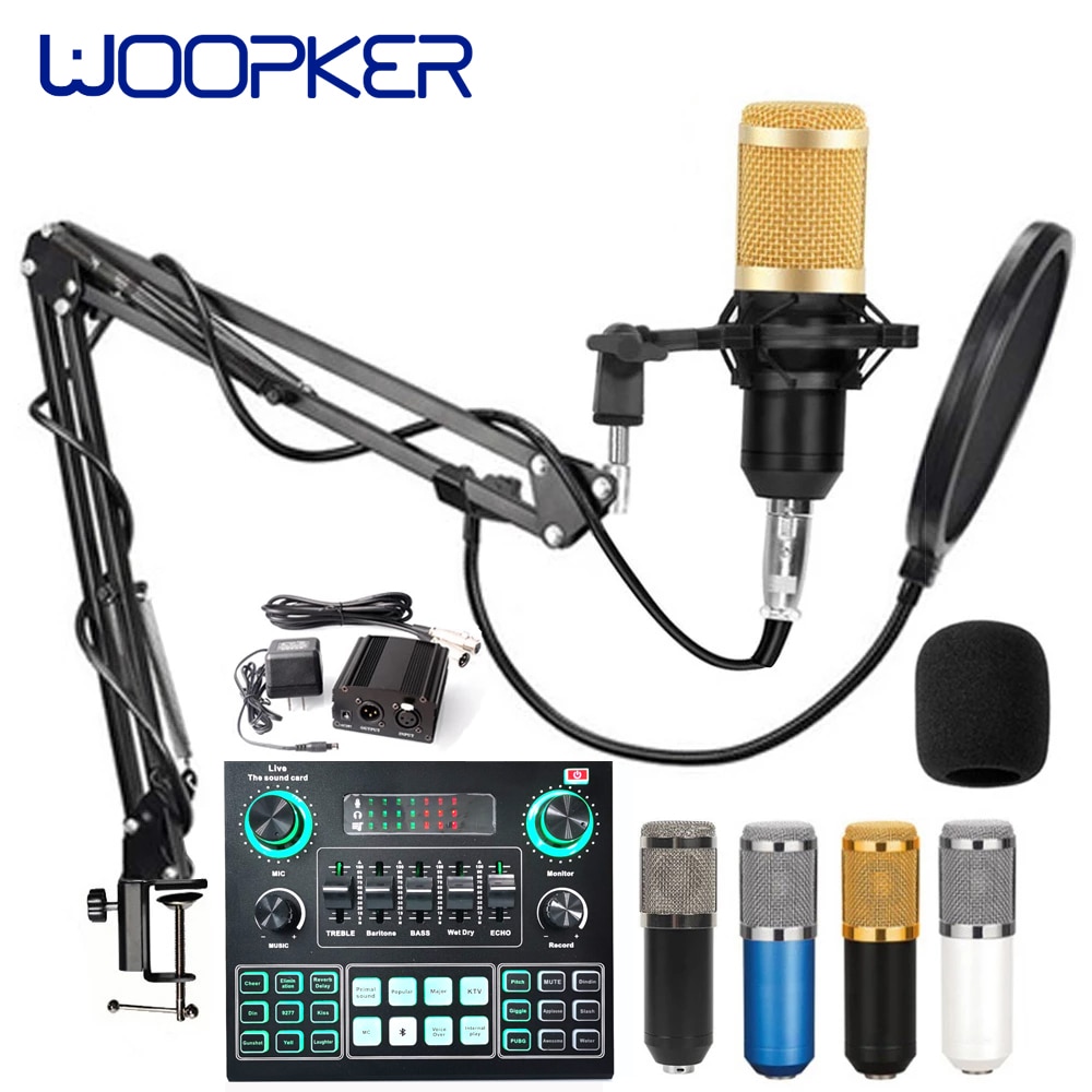 Professionnel Condensador Microfone Bm 800 Microphone with V9 Sound Card for Gaming PC Karaoke Studio Equipment USB Microfono