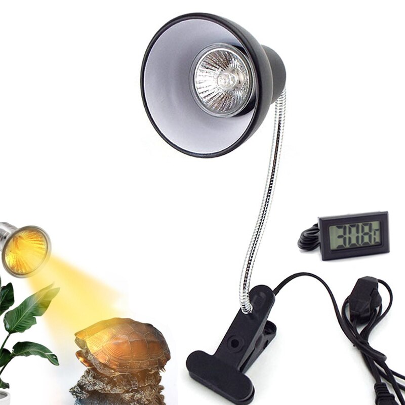 Set di portalampada per rettili UVA UVB con termometro a Clip igrometro lucertola tartaruga tartaruga Basking lampadina riscaldante 220V