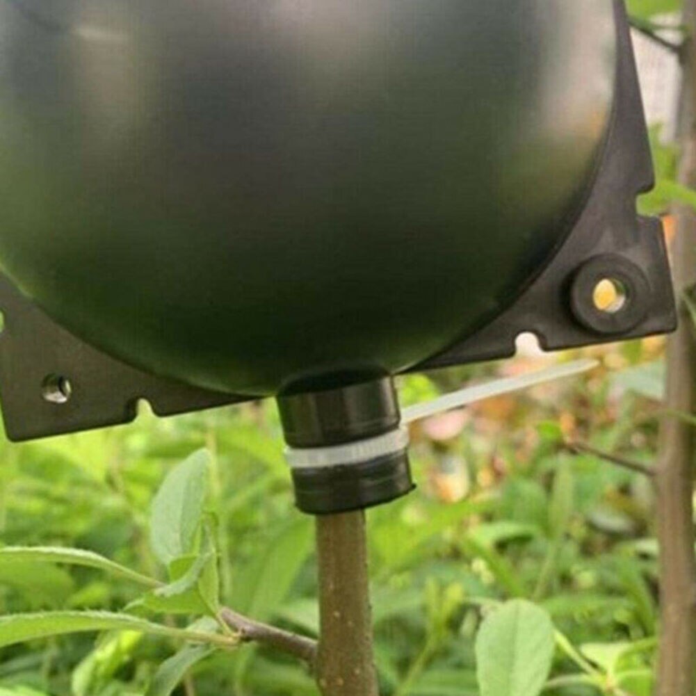 Grafting Root Box Grow Pod Plastic Roses Climbers Fruit bushes Growing 5x