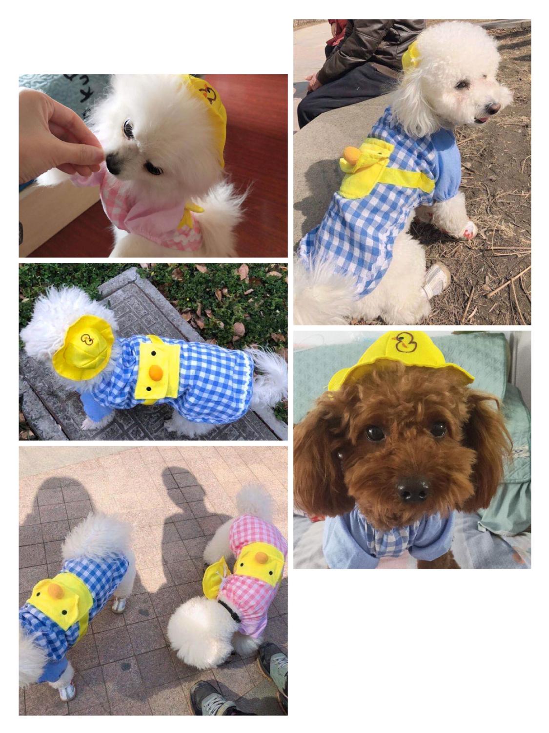 cute duck duck hat dog clothes cartoon backpack pet clothes small dog shirt chihuahua pet coat Yorkshire pet clothes
