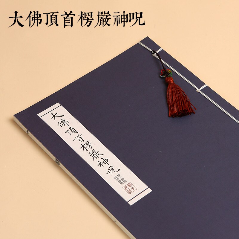 Buddhist Scriptures Copybook Regular Script Calligraphy Beginner Adult Hard Pen Handwritten Heart Sutra Copy Books: 1 BOOK E