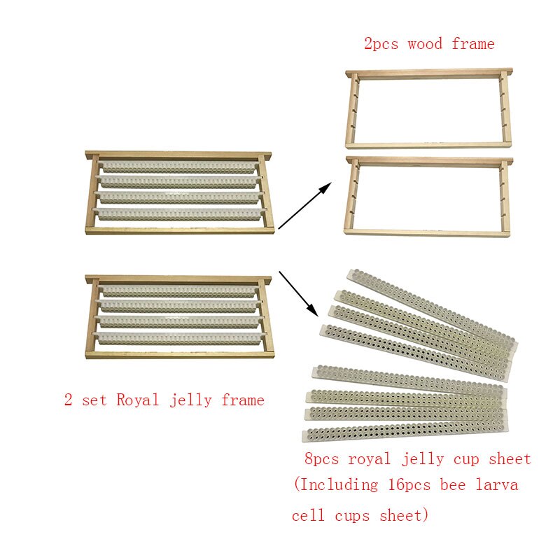 1set queen rearing system bee larva cell cups frame cage for cqr-3 Royal jelly production equipment of beekeeping tools supplies: plum