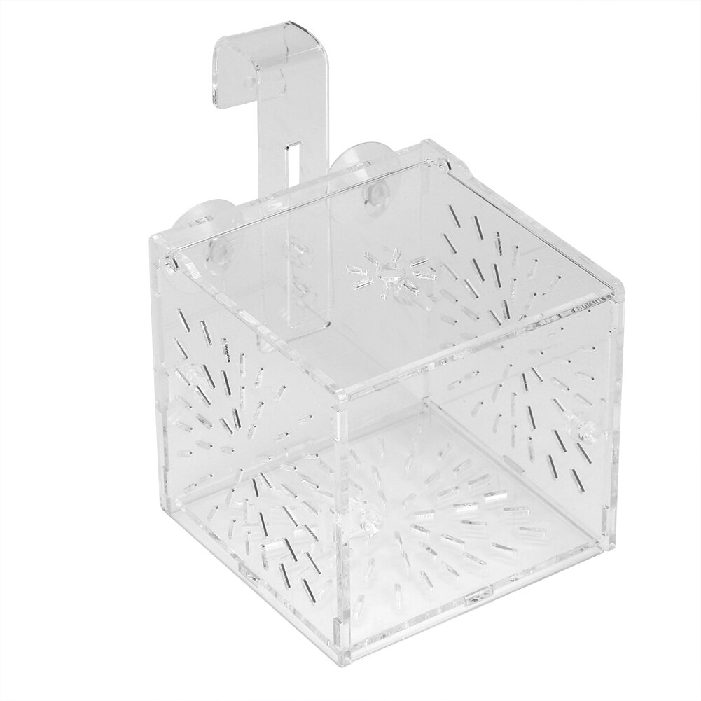 Caixa de isolamento transparente acrílica para tanques de peixes aquário peixe fritar incubação reprodução única e grade dupla: 10CM 10CM 10CM