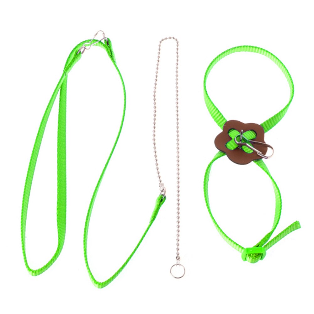 Arnés para exteriores para loros, correa ajustable, cuerda de entrenamiento, banda antimordida para pájaros y mascotas,: Light Green