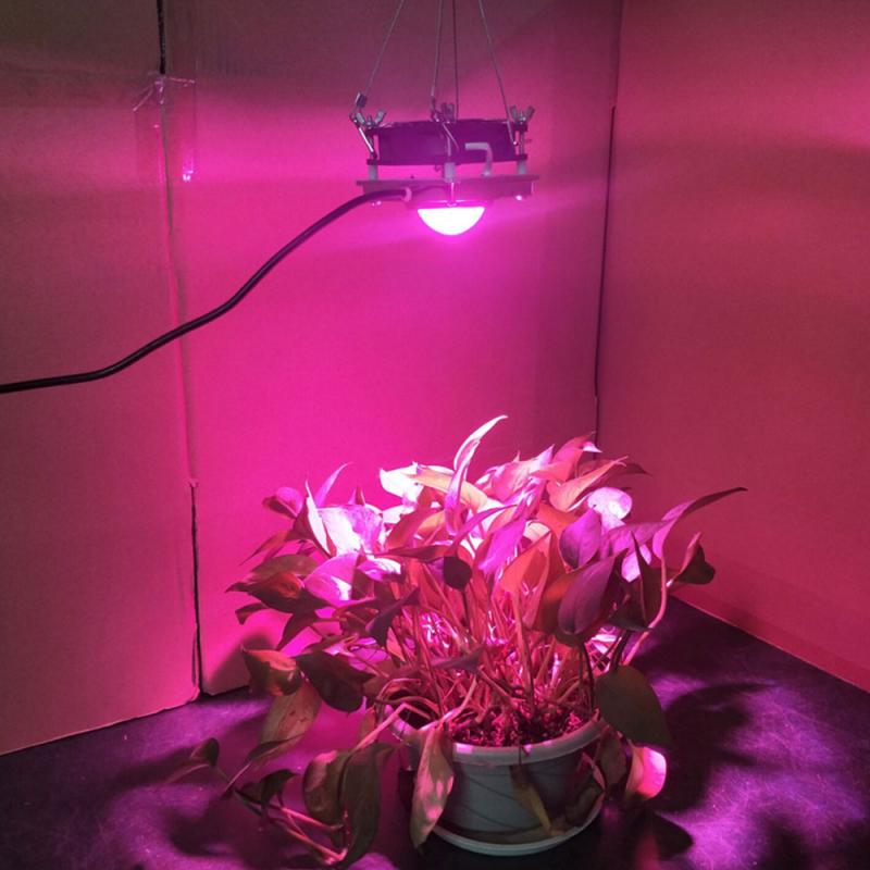60W Hydroponic COB Growth Light Led Grow Bulb Full Spectrum Lamp Plant Flower Seedling Fitolamp Greenhouse Vegetables Succulent