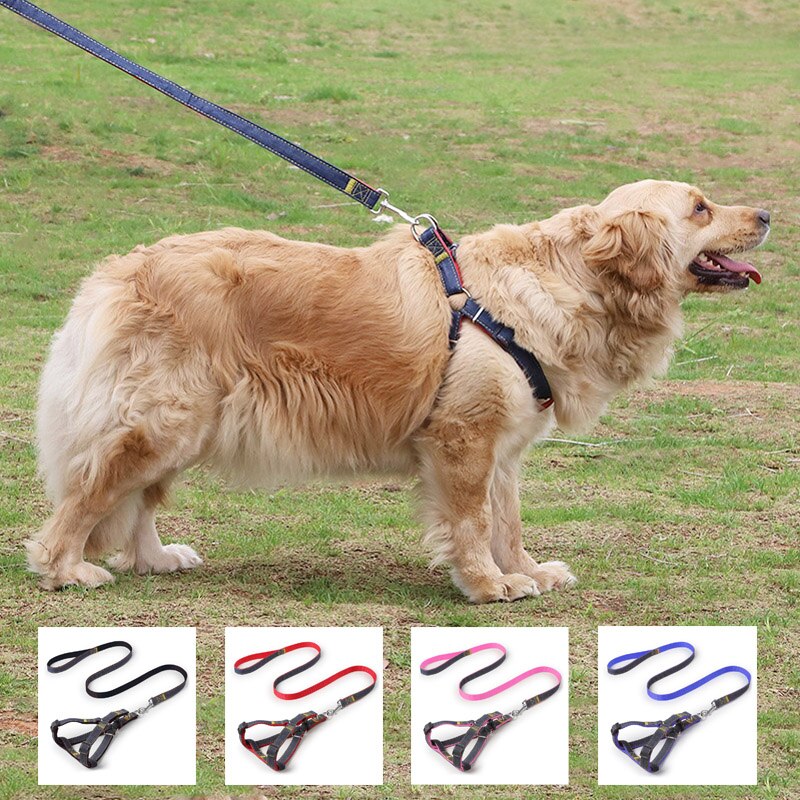 Denim Harnas Hond Aangelijnd Set Ajustable Jeans Trekkabel Sterke Leash Pet Vest Jas Voor Kleine Puppy Honden Franse Bulldog pug