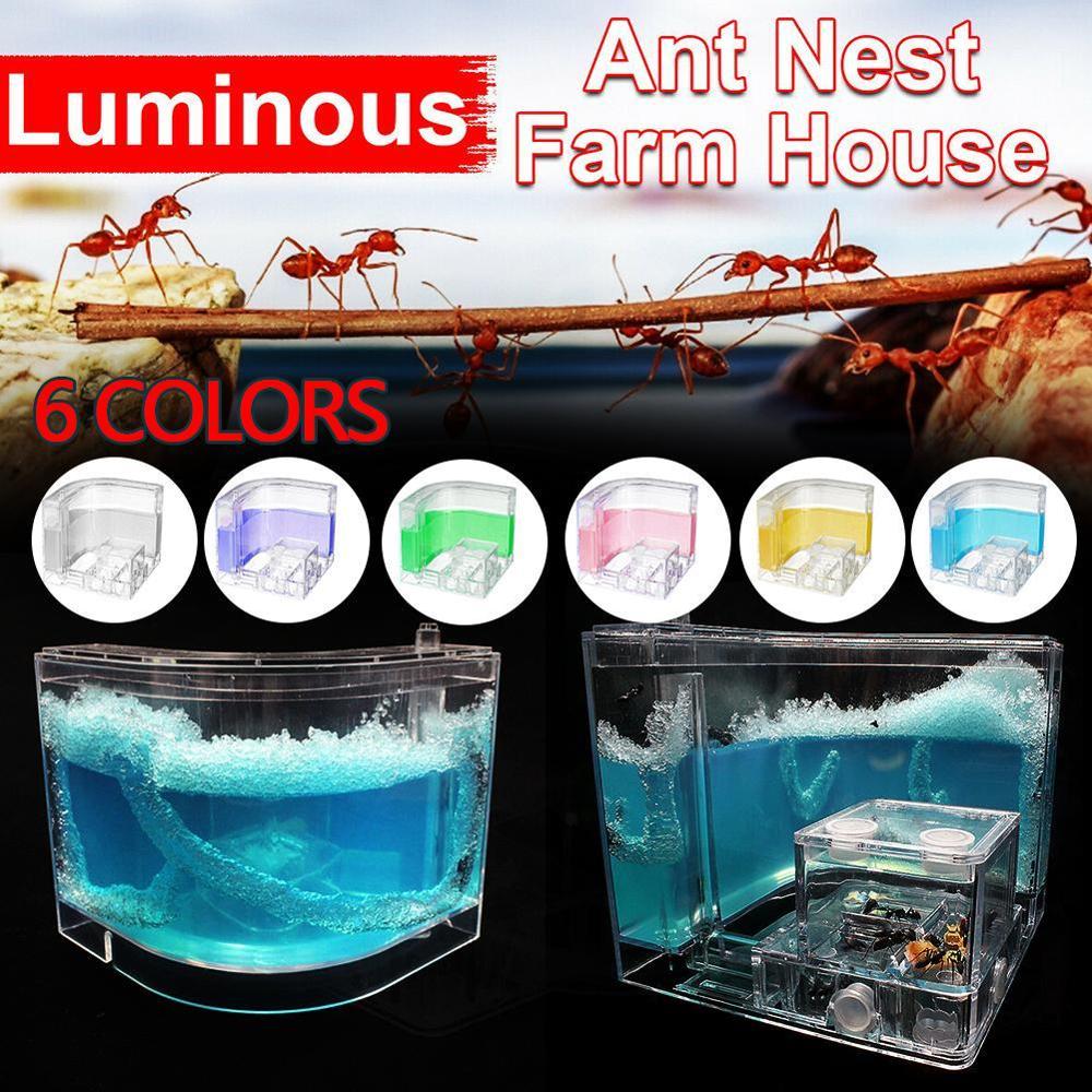 Large Acrylic Ant Farm with Feeding Area Big Ants House Ant Nest Villa Insect Pet Anthill Workshop 6 Layers 19.5*15*22cm