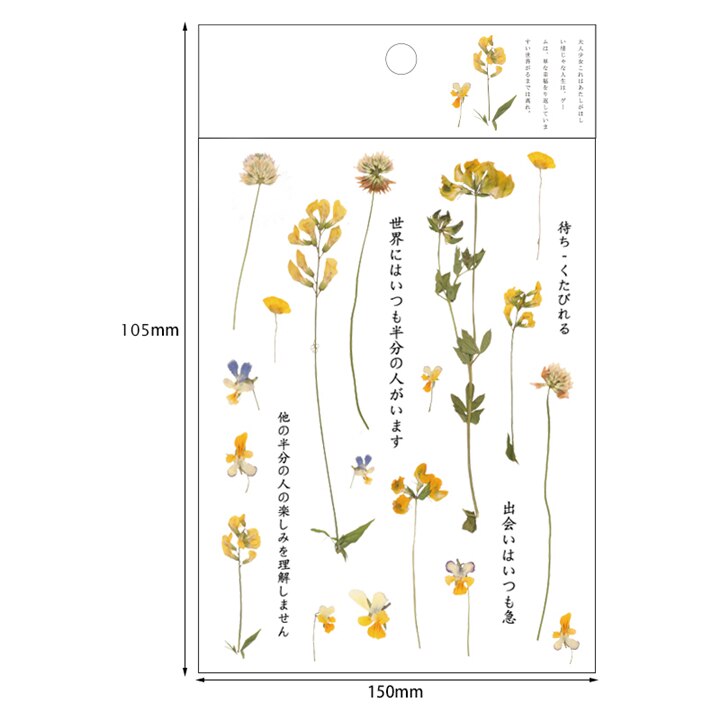 Kokorosa12 Designs Natural Daisy Clover Japanese Words Stickers Transparent PET Material Flowers Leaves Plants Deco Stickers: Mottled