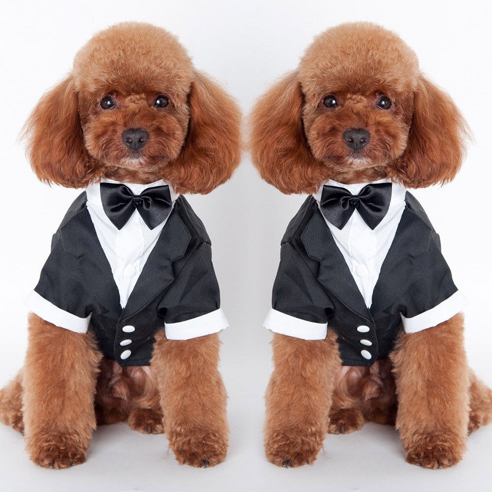 Huisdier hond kat kleding trouwpak smoking vlinderdas puppy kleding shirts s/m/l/xl/xxl