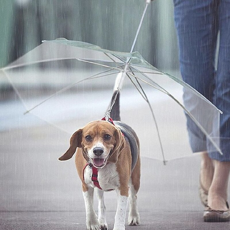 Gennemsigtig kæledyr paraply bærbar indbygget snor hvalp paraply kat regnfrakke lille hund kat regntøj med hundesnore holder