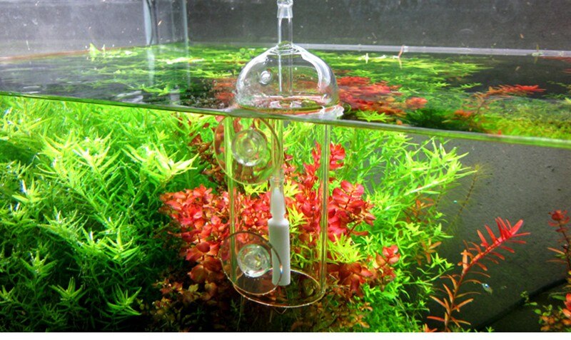 CO2 diffuser atomizer bubble counter 2 in 1 VIV mini nano glass ADA style water plant fish tank