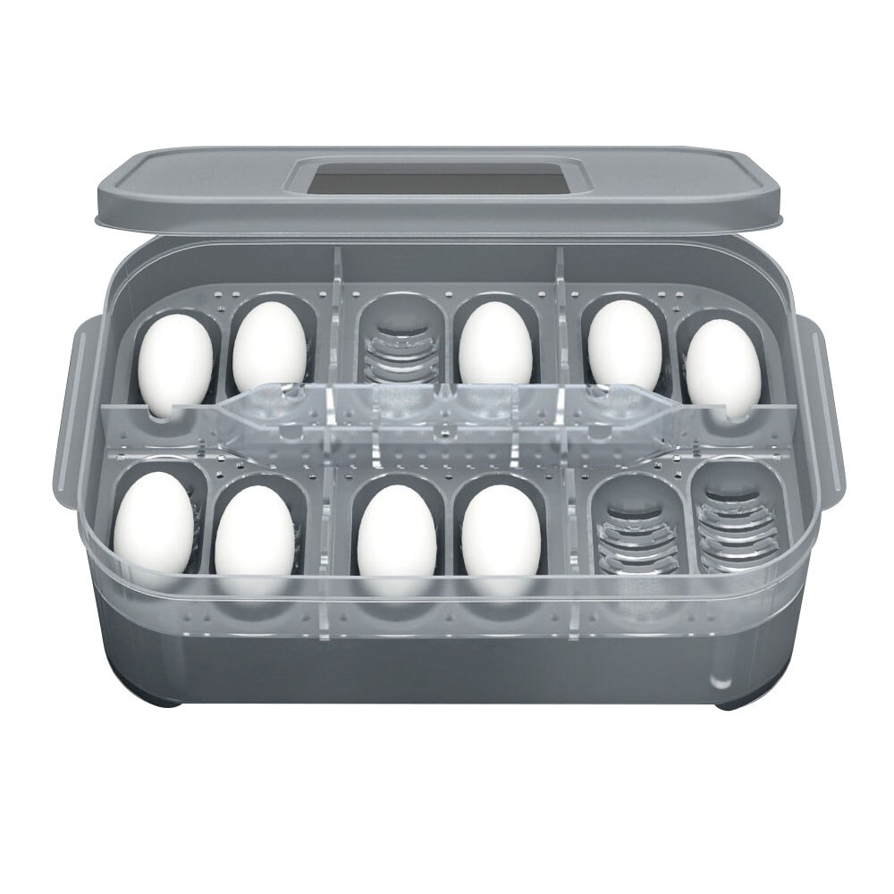 Bandeja de Reptiles para huevos, caja de Reptiles, caja de crianza de Reptiles, caja de incubación para Reptiles apta para incubar Reptiles lagartos de serpiente: Without thermometer