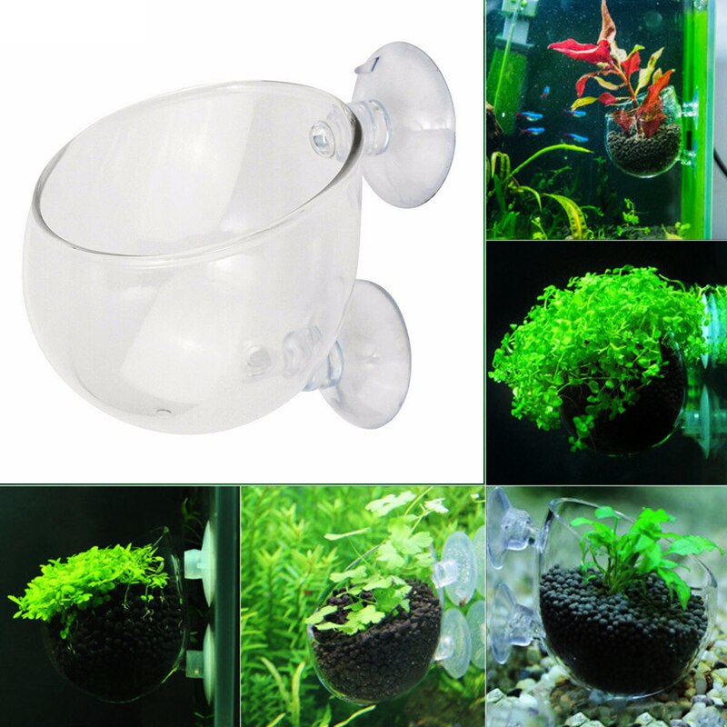 Aquarium Accessoires Crystal Clear Glas Plant Pot Plant Bekerhouder Aquarium Landschappen Cups