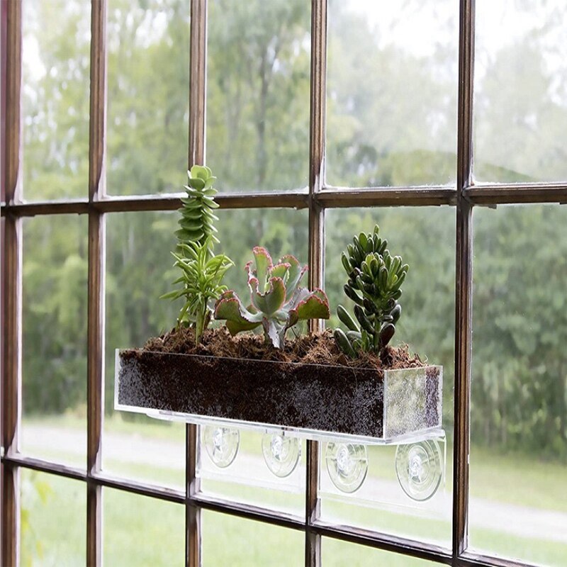Afsats sugekop vindue hylde akryl plante vindue hylde indendørs vindue plante hylde til at skabe planter haven på vinduet