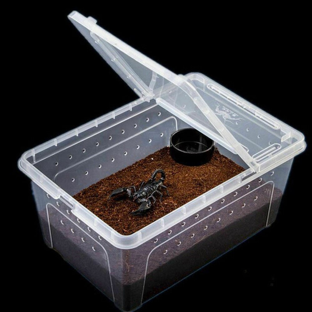 Transparent Plastic Box Insect Reptile Reptile Feeding Box Terrarium Clear Breeding Live Food Feeding Hatching Container