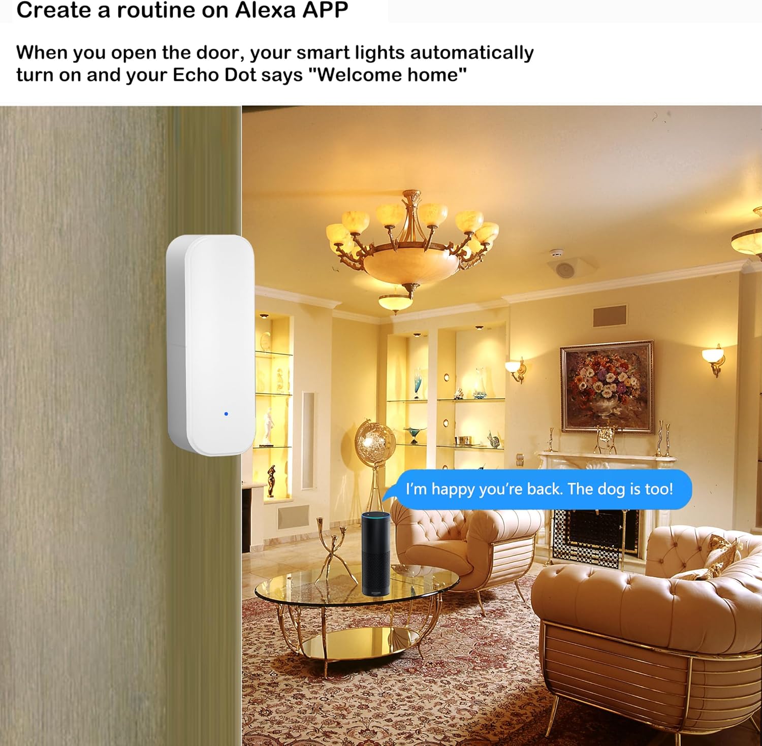 Tuya WiFi Raamdeursensor Draadloze deurdetector Alarmen Smart Life APP Afstandsbediening Werk met Alexa Google Home Smart Home