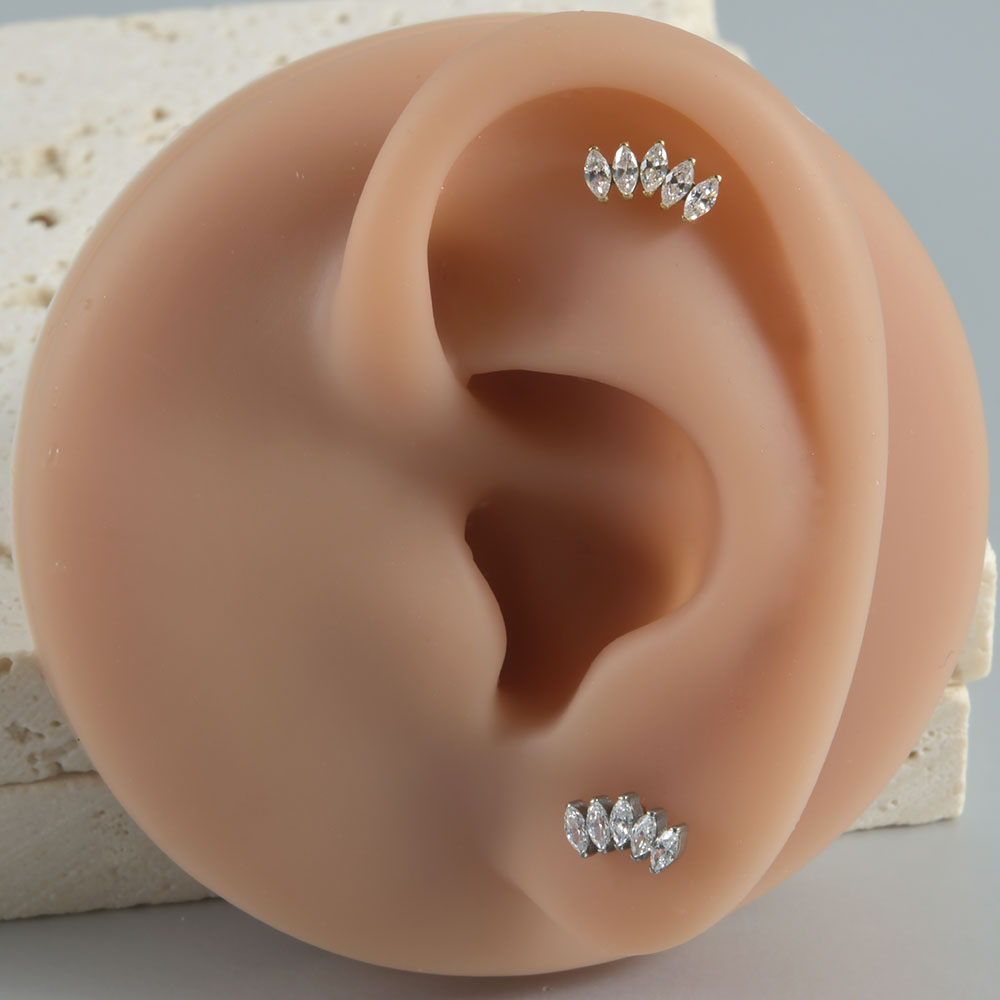 1pcs G23 Solid Titanium CZ Paard oog Bloem Kraakbeen Oorbel Stud 16G Intern Schroefdraad Zon Helix oor Tragus Piercing Sieraden