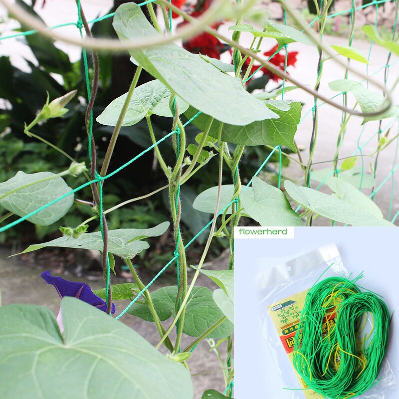 Murgröna klätterställning hem trädgårdsarbete nät frukt växter staket plast nylon nät 1.8*0.9m/1.8m/2.7m/3.6m mesh nät 10cm galler