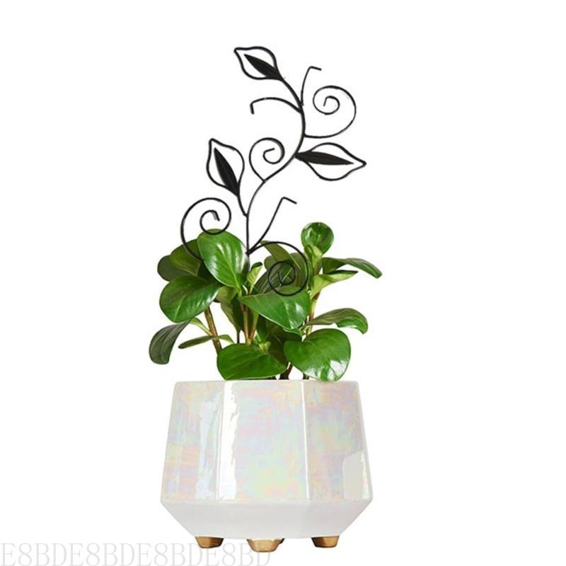 E8bd traliccio per pianta in vaso mini giardino traliccio Casa pianta traliccio Arrampicata fai -da -te