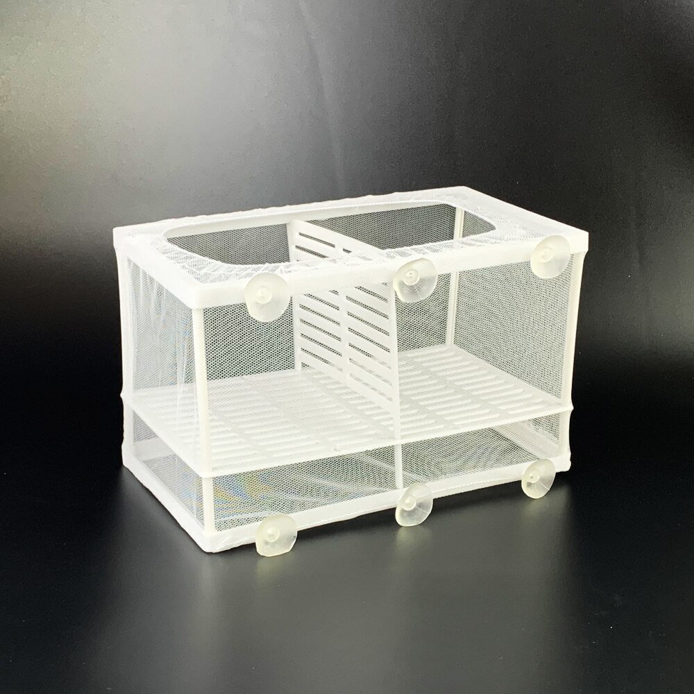Boîte d'isolation pour poissons d'aquarium, petit bol pour poissons d'élevage filet d'isolation pour bébés, incubateur pour Betta