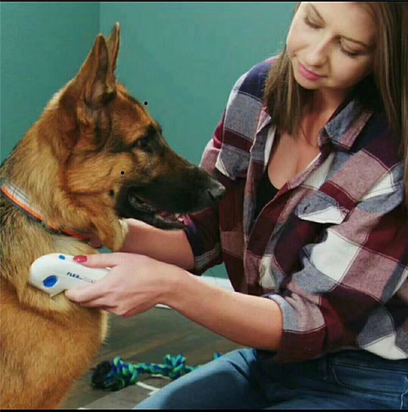Cepillo eléctrico Terminator para perros y gatos, limpiador de piojos Anti-Eliminación, limpiador eléctrico de Piojos para mascotas, peine electrónico para piojos, cepillo para perros y Mascotas