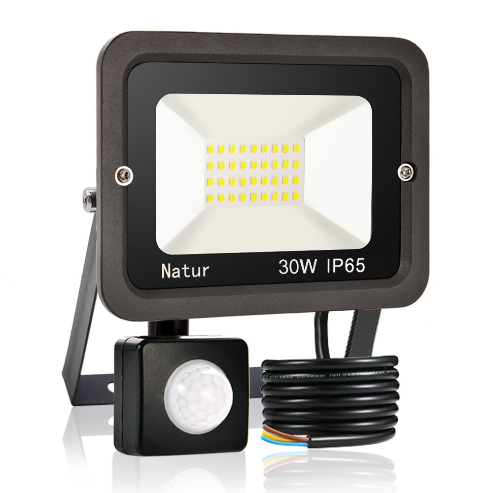 PIR Motion Sensor LED Flood Light 10W20W 30W 50W 100W Outdoor Floodlight 220V Waterproof IP65 Spotlight Garden Wall Street Light: 30W