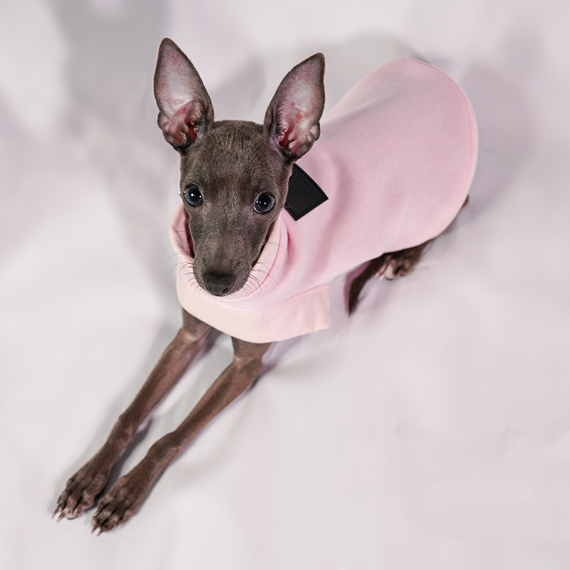 Ropa para perros pequeños, suéter de otoño e invierno cálido para lana de algodón, ropa italiana de Galgo, accesorios para perros, suministros para perros