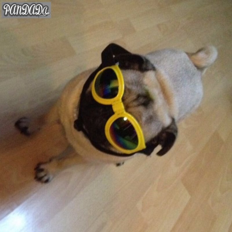 Waren Für Hund Brille Gläser Für Hunde Haustier Sonnenbrille Hund Schutz UV Brillen
