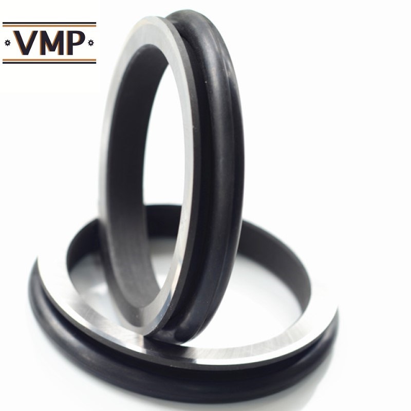 2 M 2858: Seal G for Cat