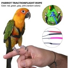 Kæledyr farverig sele papegøje fuglesnor udendørs justerbar sele træning reb anti bid flyvende krydsbånd fugletræning reb