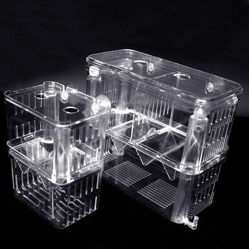Aquarium auto-flottant pour poissons, boîte d'élevage de Guppy, couveuse en acrylique, Isolation de l'éclosion