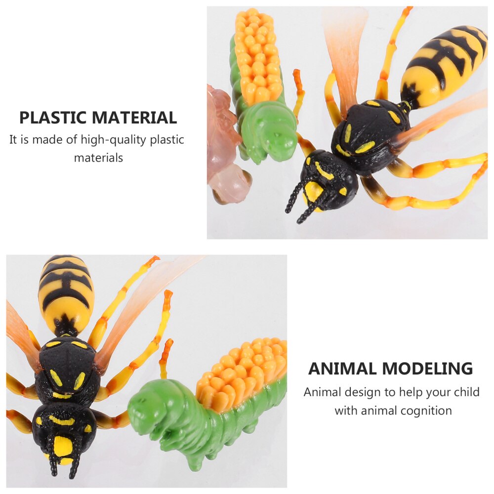 1 Set/4Pcs Simulatie Insect Evolution Model Wesp Groei Cyclus