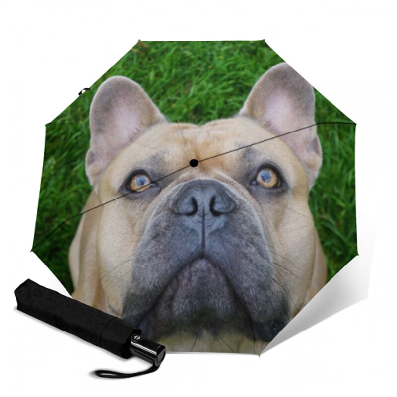 Sød fransk bulldog paraply anti-uv beskyttelse paraply trykt 3 foldende solrige regnfulde paraplyer til kvinder bærbar parasol: Ysa 1007