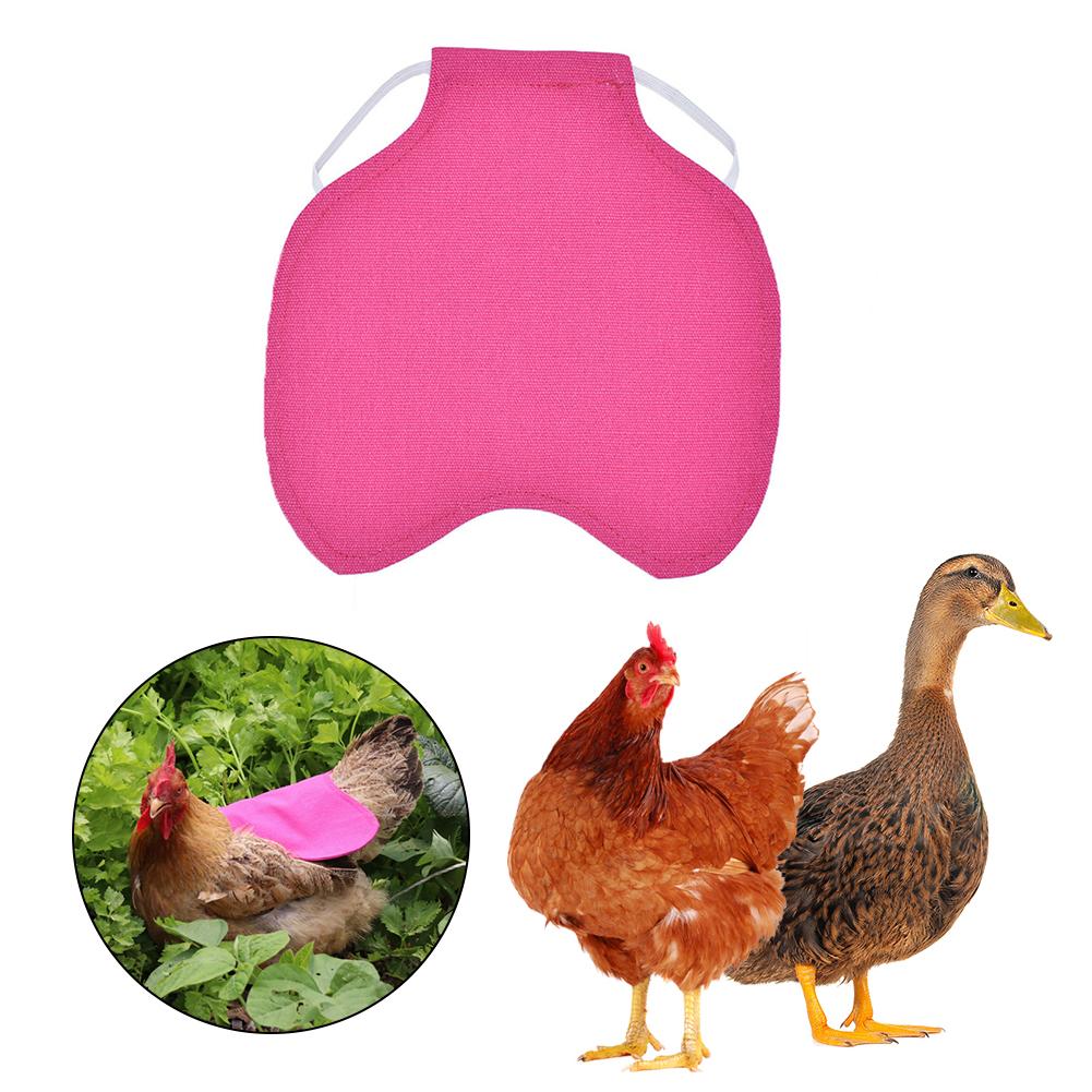 Ajustable ropa para mascotas ropa de gallina delantal aves de corral gallina silla delantal de protección del pato de pollo alas Protector gallina vestido: D