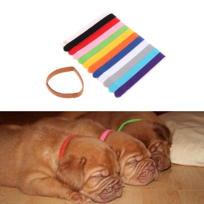 12Pcs Pets Puppy Collars Different Colors Soft Identification Mark For Cats Dogs