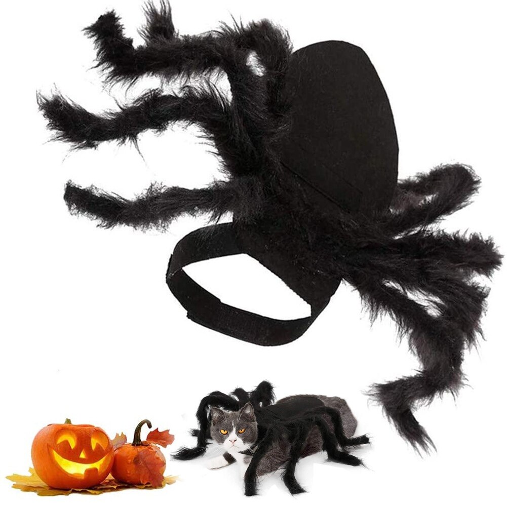 Halloween edderkop tøj til kæledyr hund kat edderkopp kostumer udklædning kæledyr tøj kæledyr halloween rekvisitter tilbehør til festtøj