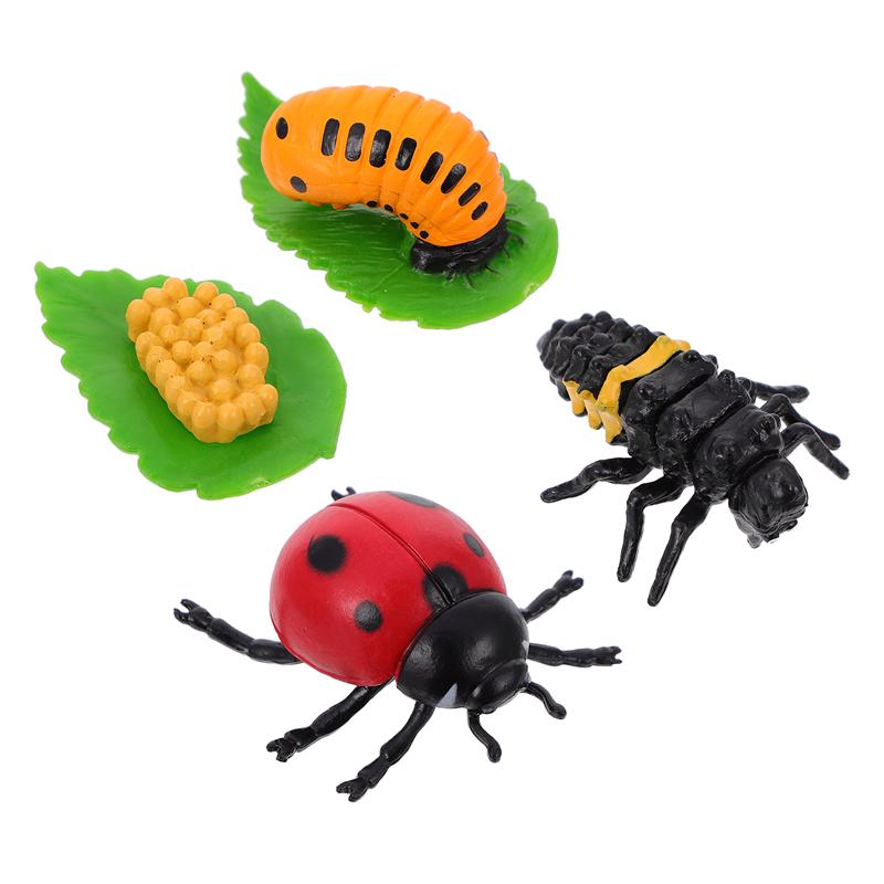 4Pcs Ladybug Plastic Garden Decoration Garden Accessories Growth Cycle Statues Decorations Life Cycle Figurines