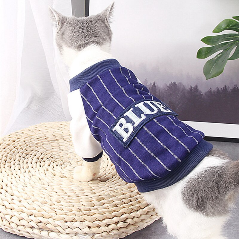 Veste pour chat vêtements pour chat