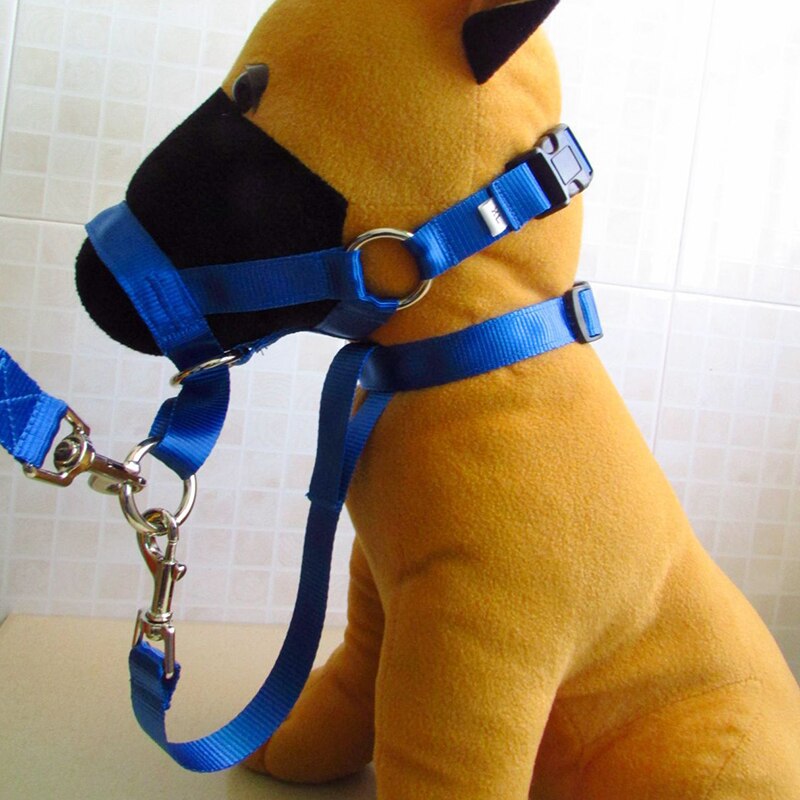 Collar de cabeza de entrenamiento con cuello Halter para perro, arnés de poliéster con cuello Halter, , ideal para cualquier temporada