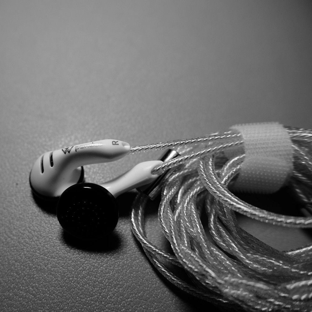 DQSM Audio Z&W Pandas PK2s Earbud In Ear Earphone Flat Head Plug Earplugs Headset HIFI Earbud 3.5 4.4mm Plug HiFi Headphones