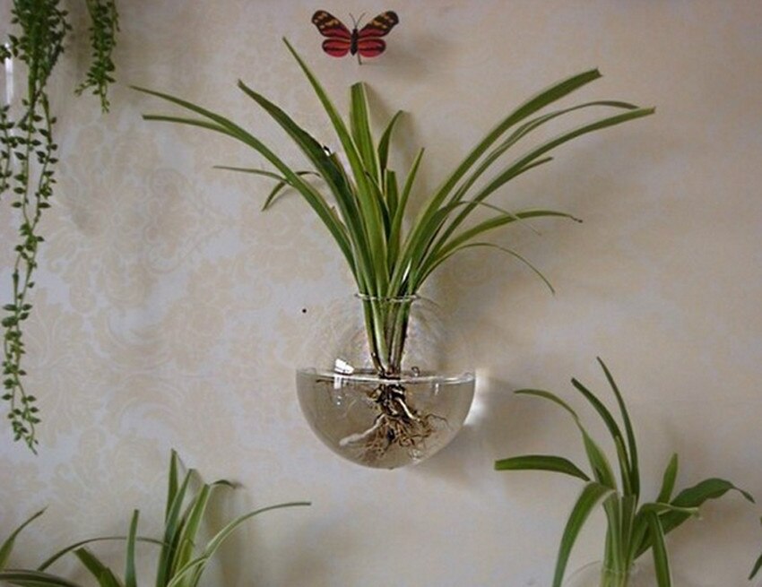 10m hangende glazen bloempotten, plantenbakken, terrariumcontainers, decoratie voor in de tuin