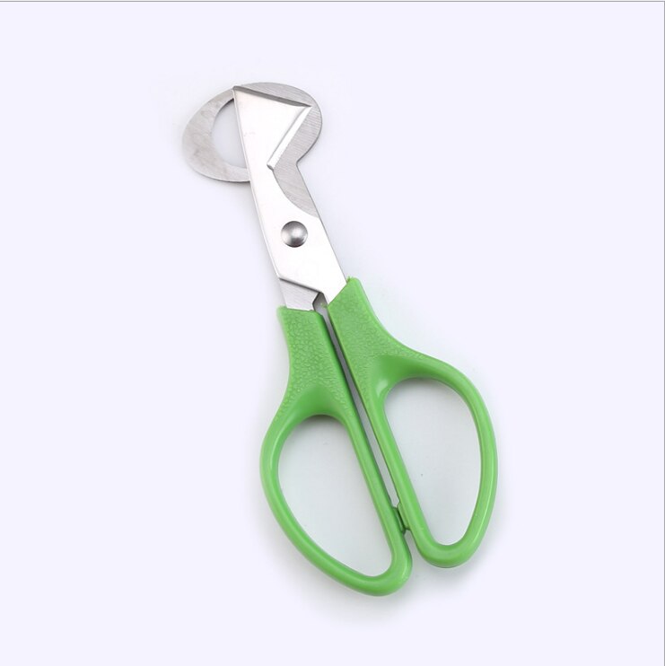 Ciseaux coupe-oiseau, ouvreur, outil de cuisine,: Green