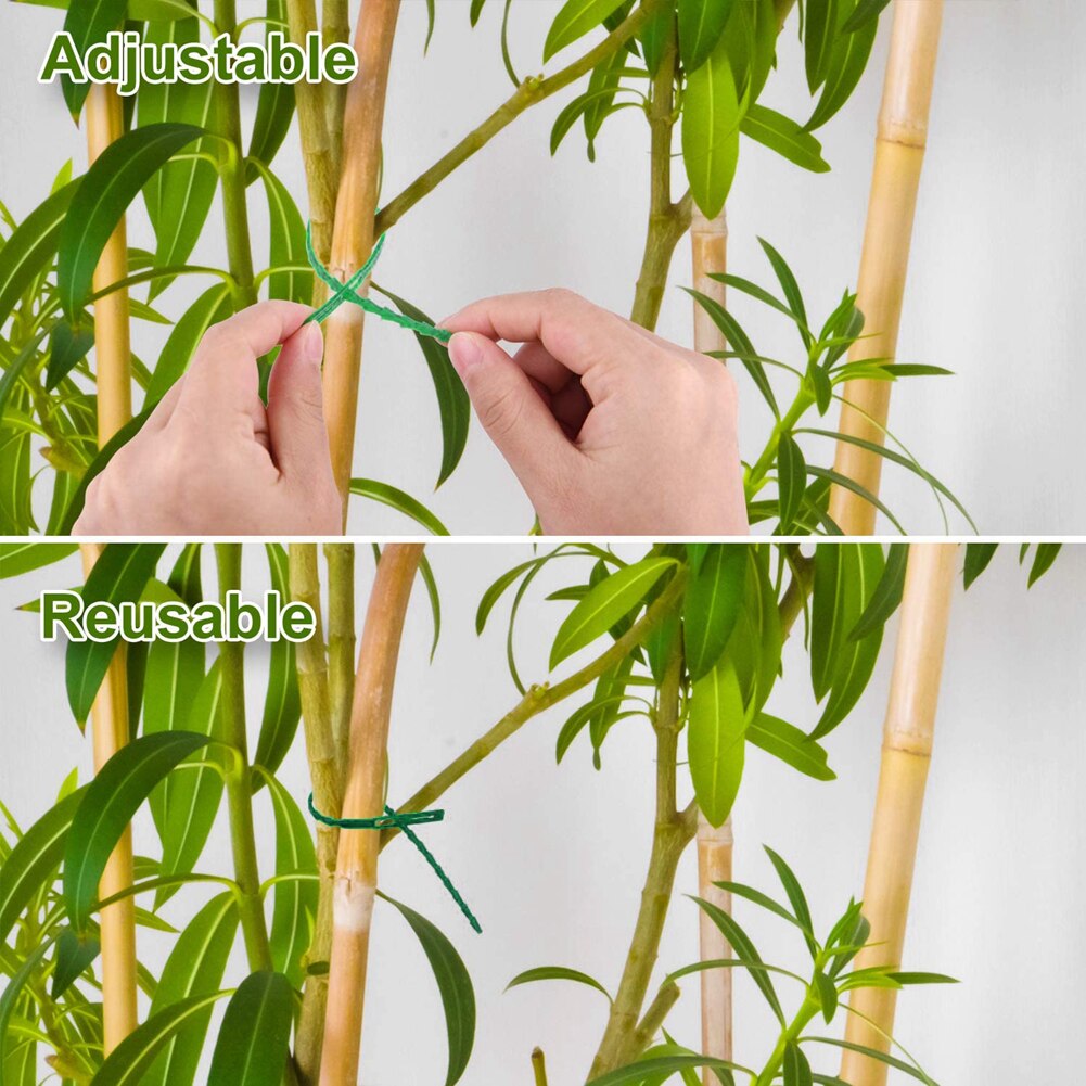 38Pcs Plant Support Stakes, Garden Single Stem Support Stake Plant Cage Support Rings For Amaryllis Tomatoes Orchid Lily Peony