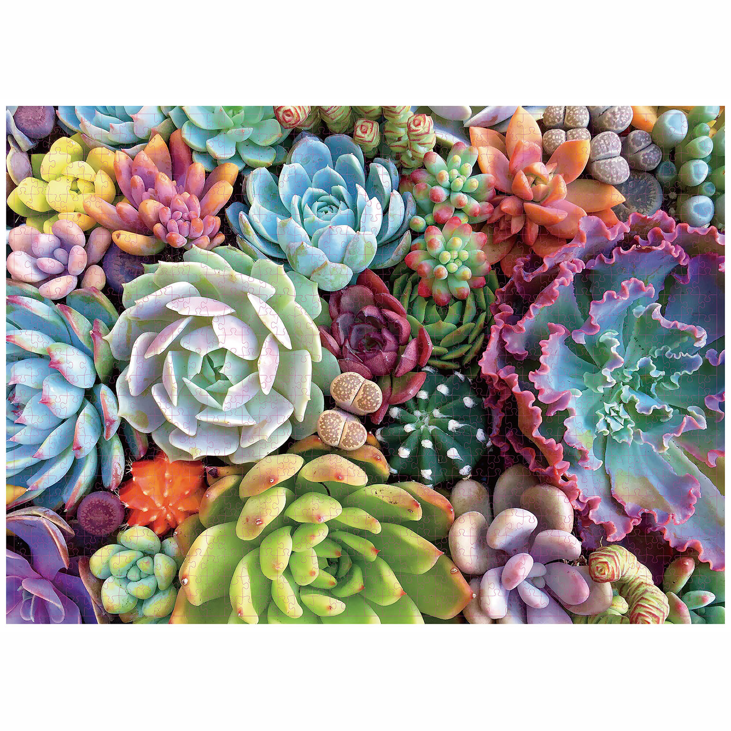 1000 sztuk sukulenty Puzzle Home Decor dorośli Puzzle gry rodzinne zabawa puzzle podłogowe zabawki edukacyjne dla dzieci