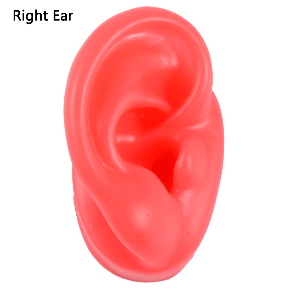 Weiche Silikon Ohr Modell Für hörgerät 1:1 menschliches Ohr ohr modell simulation display requisiten lehre werkzeuge Schmuck display Ohrringe: 1PC Red Right